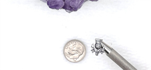STAINLESS STEEL Celtic Thistle Medium STUD EARRINGS
