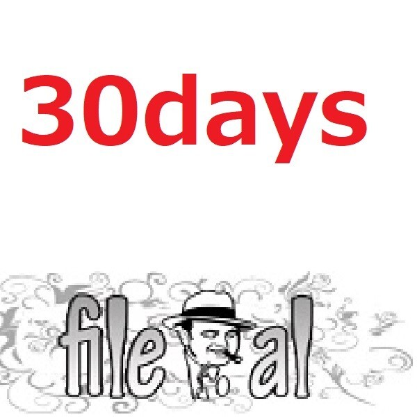 file.al  30days Premium