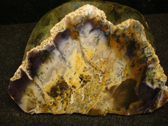 trapper creek agate slab wyoming