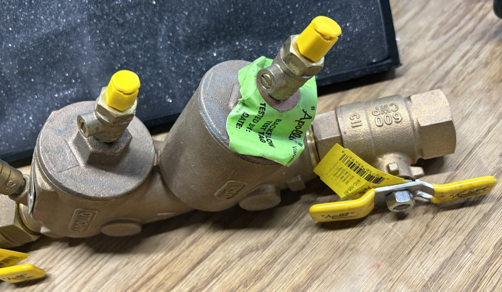 Apollo 4a double check valve assembly 1"