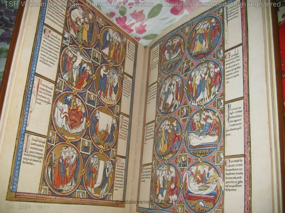 The Moralized Bible - Book Club Fac Simile CODEX 2554 - Illuminations