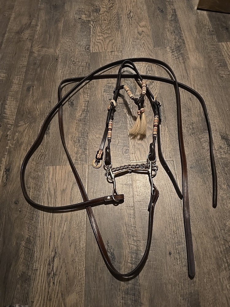 western bridle and reins