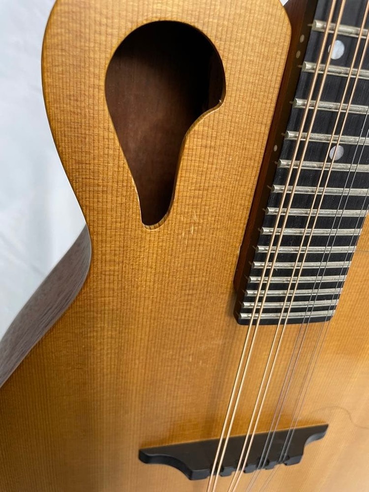 Tacoma flat mandolin m-1