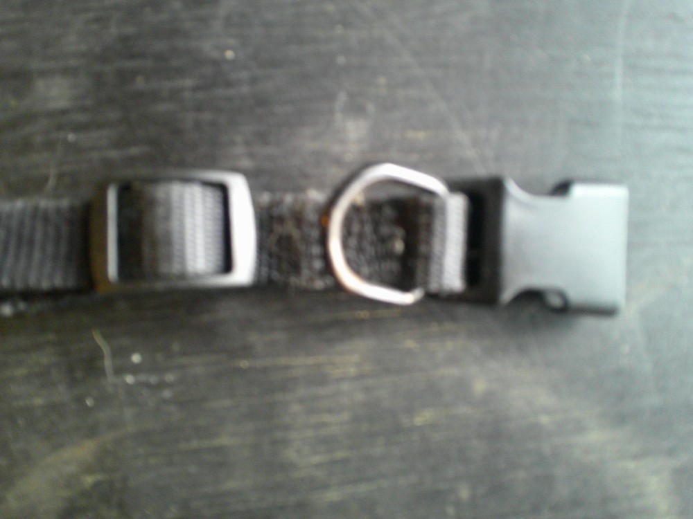 small dog collar 14" long