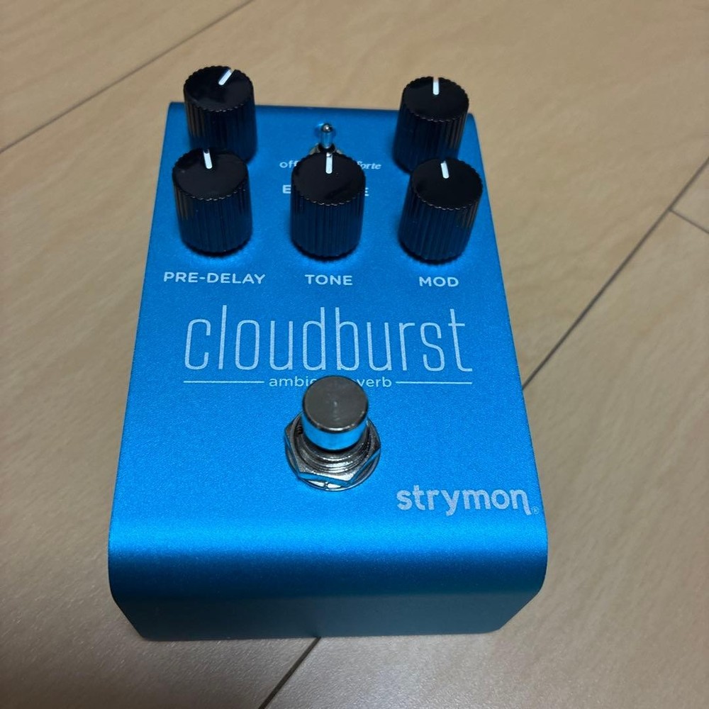 Strymon Cloudburst 566648