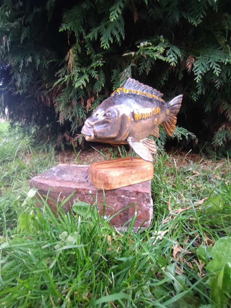 Carp Fishing, linear Carp Display, statue