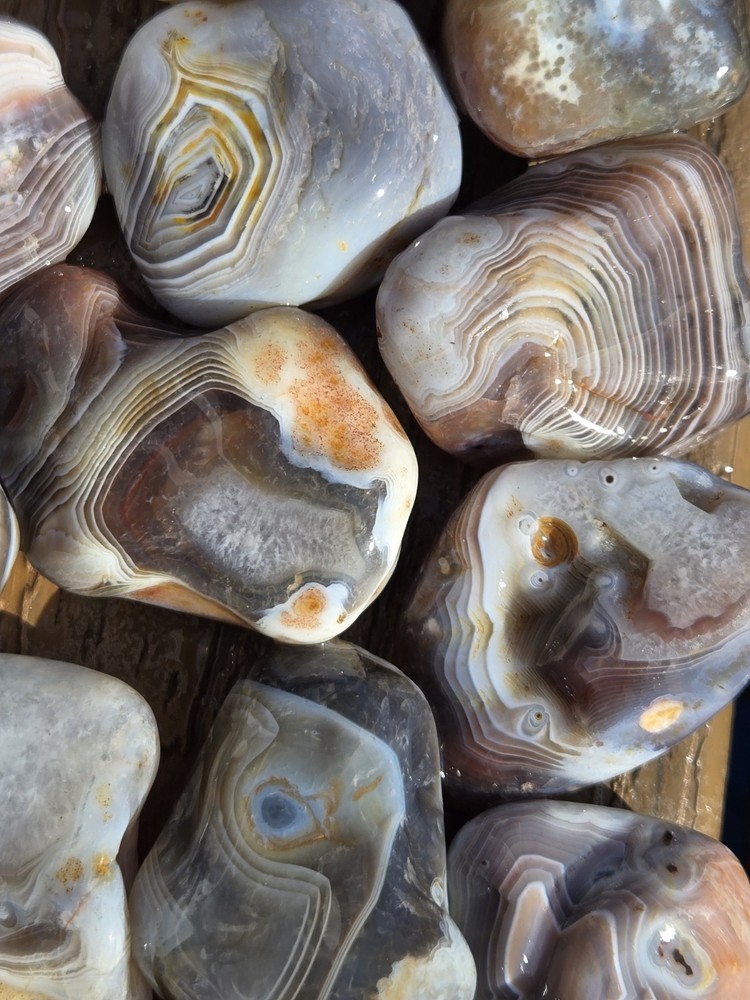Botswana Agate Selects - WILD ONES - Rough, Natural, Not Polished A+ Grade