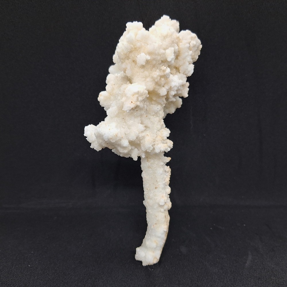 Aragonite