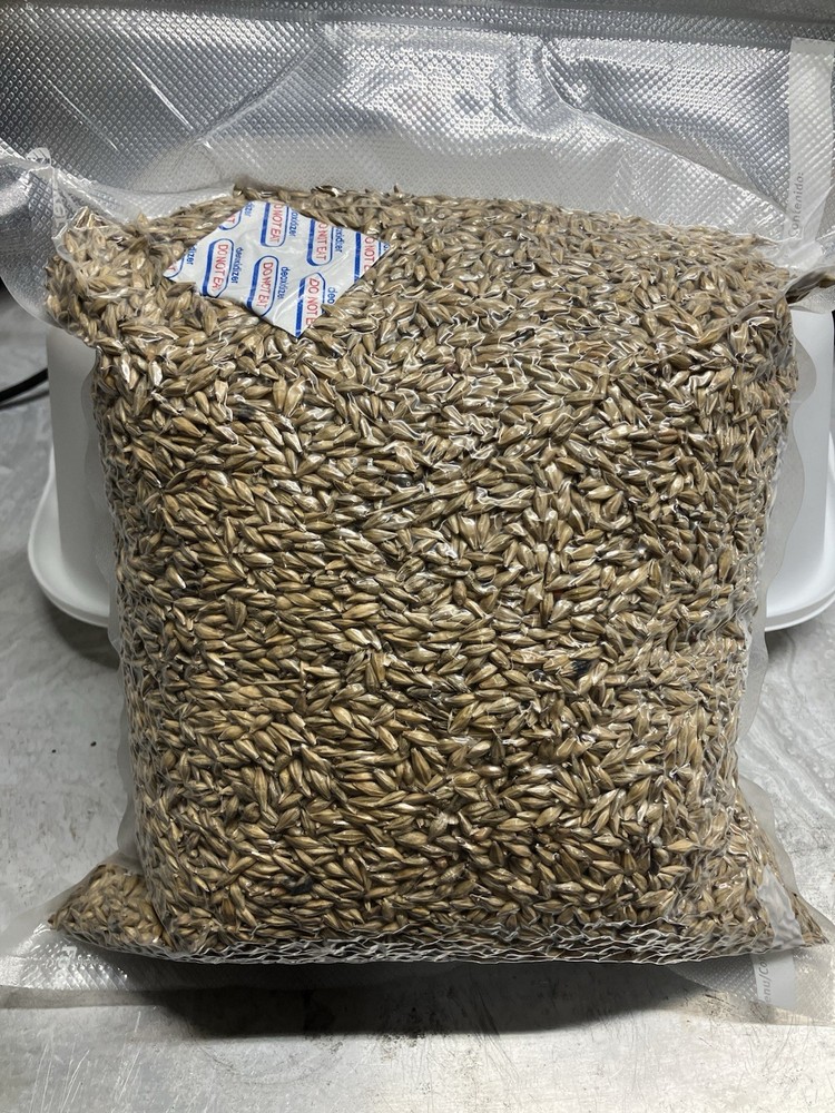 Unmalted 6 Row Baley