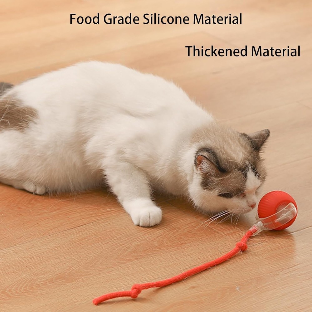 rolling ball for dogs