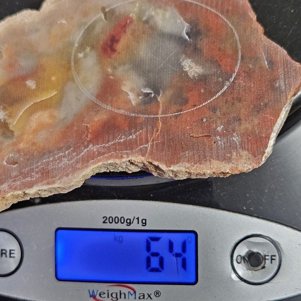 Rainbow Ridge Ledge Jasper Agate California 64 Grams