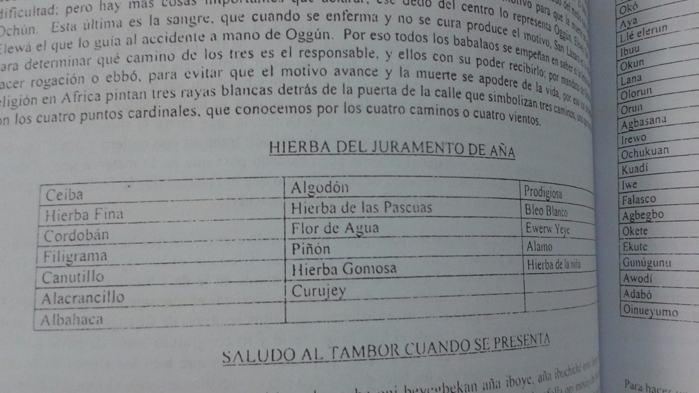 Libro DICE IFA Religion Yoruba Ifa