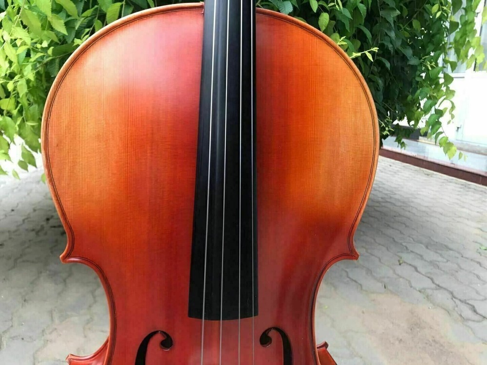 Stradivari cello!Orchestra level.WIDE DEEP TONE ,whole back with carbon case