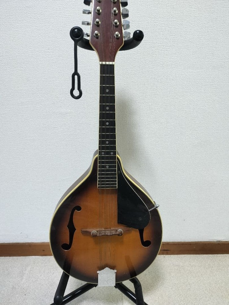 Samick Samick Mandolin sm20ts
