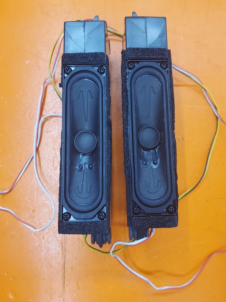 ⭐️⭐️⭐️⭐️⭐️TV Speaker Set Vizio E420-A0 00A-E4247C00