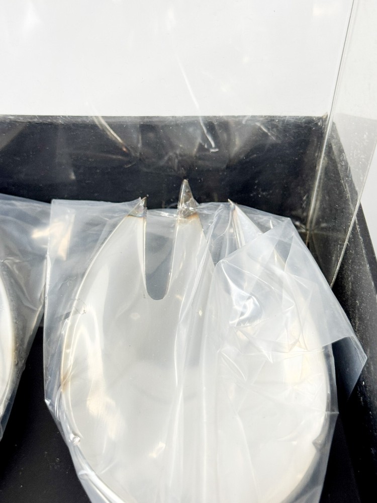 Bombay Branches Rare Salad Serving Set