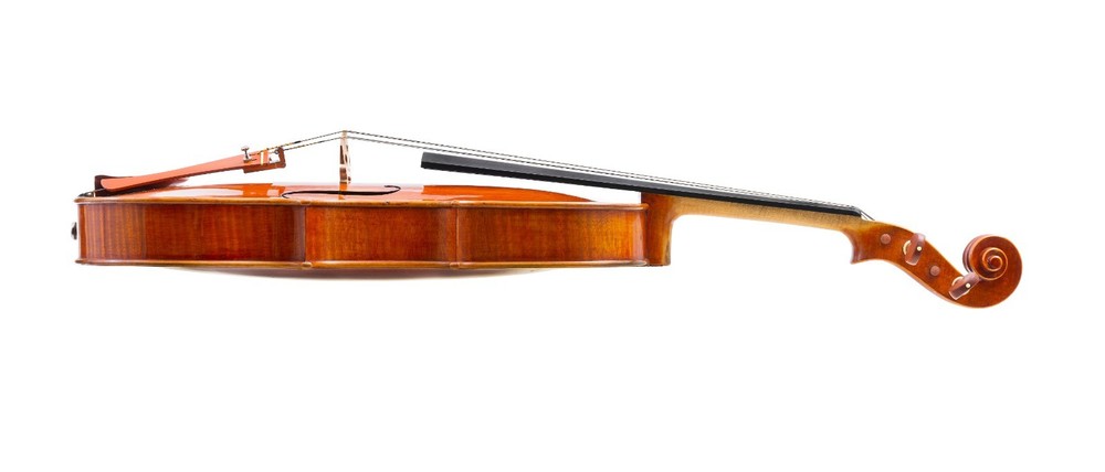 Viola/Alto A. Gallipoli 1999