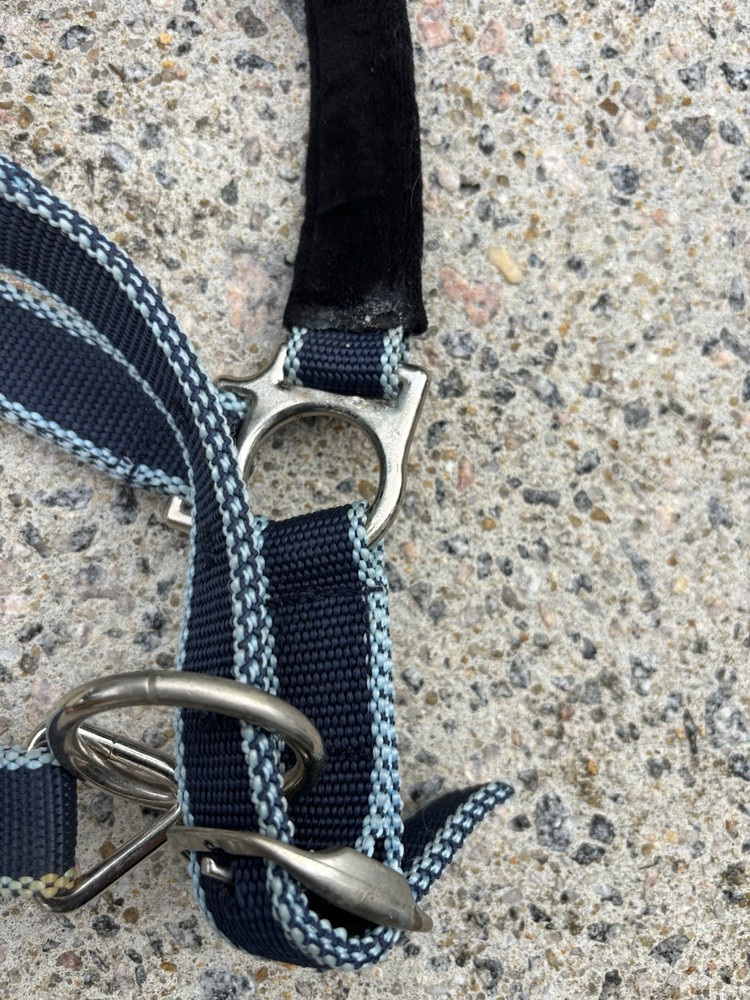 Field Safe Cob Size Halter - Breakaway/Reflective