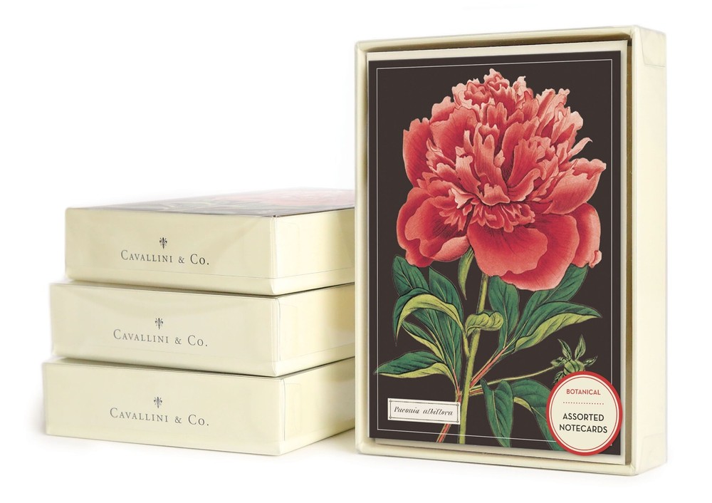 Cavallini & Co. Botanical Boxed Notecards, Assorted