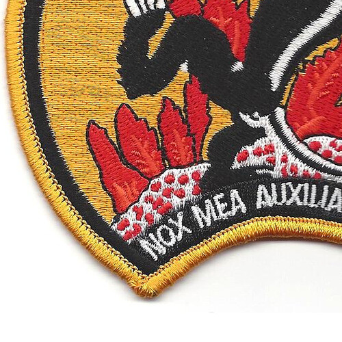 VF(AW)-4 Fighter All Weather Squadron Patch