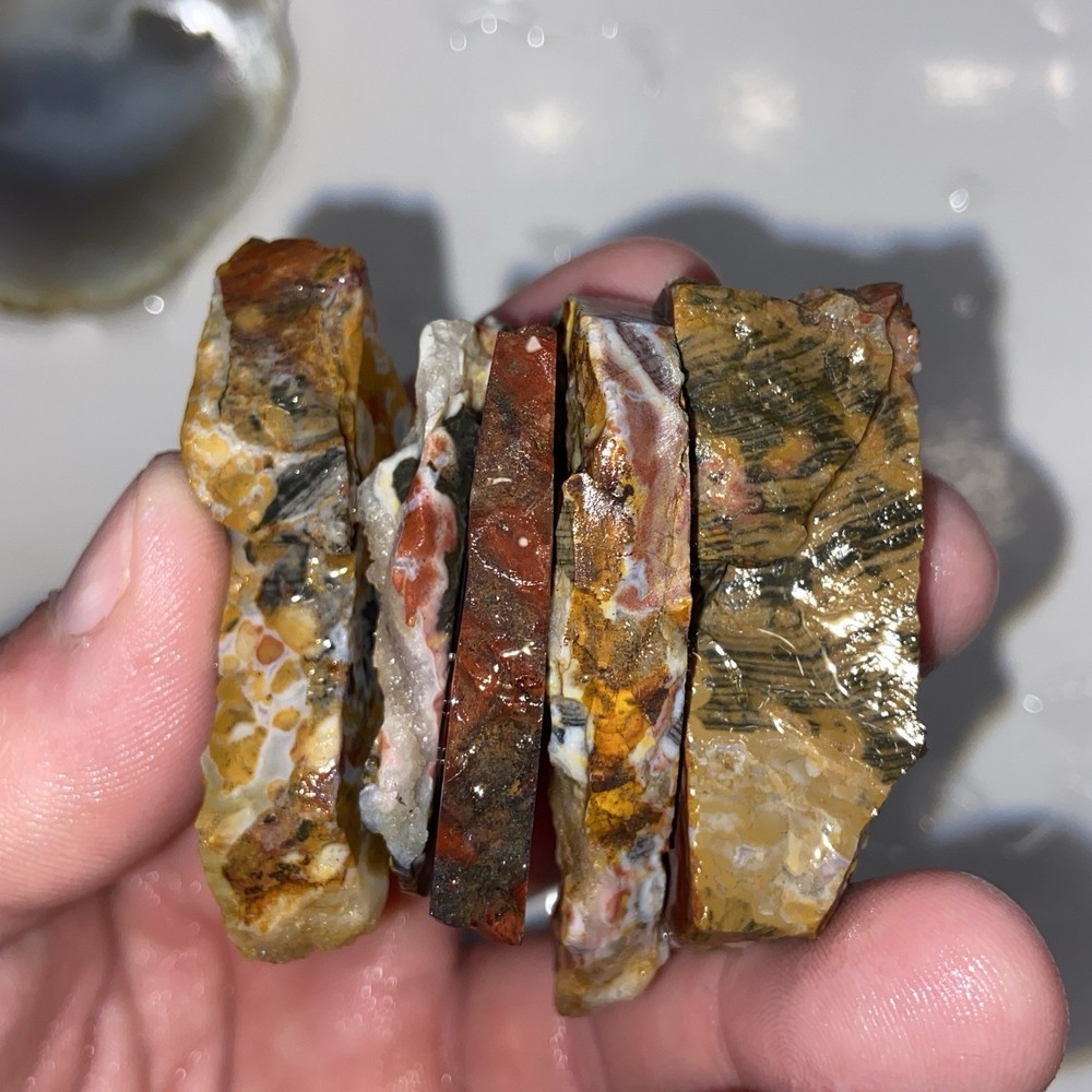 Colorful 9 Pc Agate Jasper End Cuts Lot 7.94 Oz
