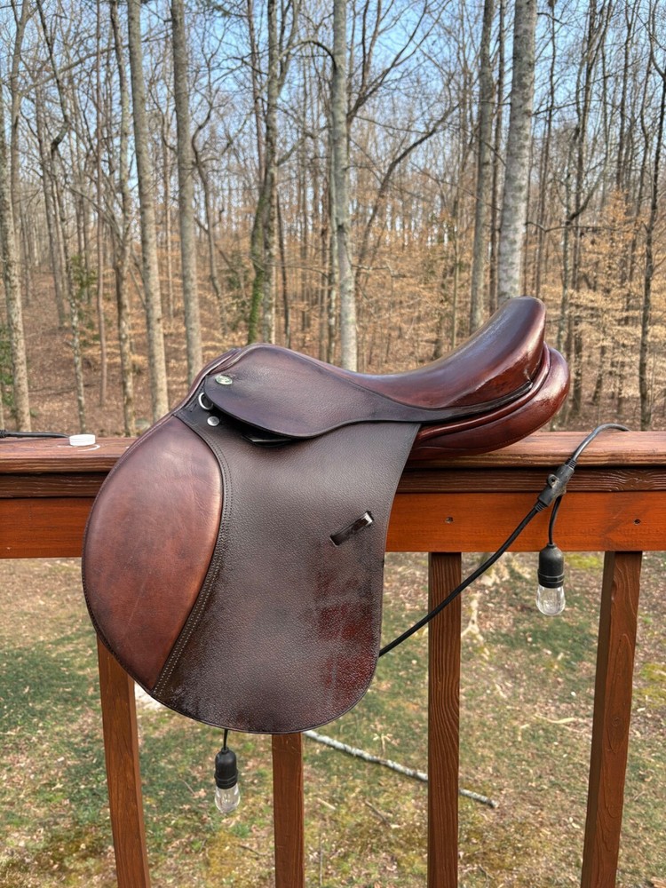 Smith Worthington Mystic