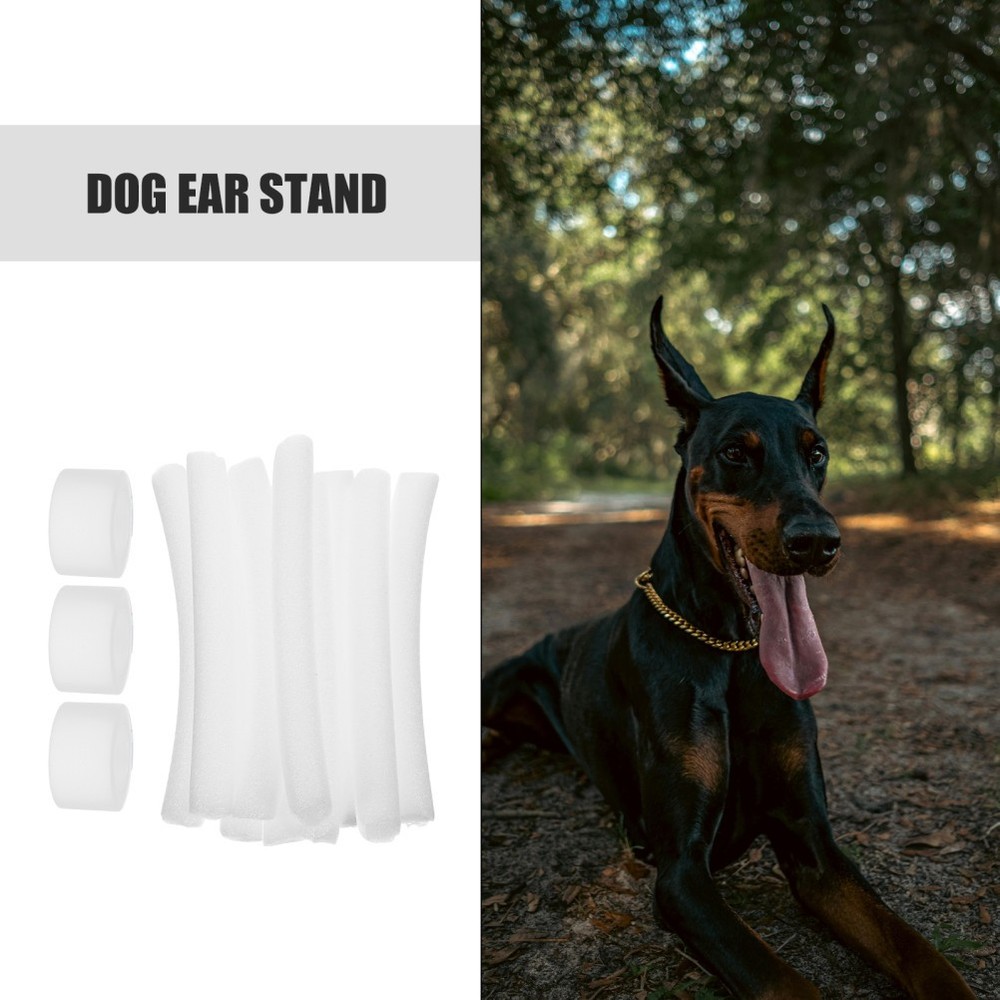 10 Pcs Doberman Ear Posting Kit Dog Tying Device Puppy Support Tool