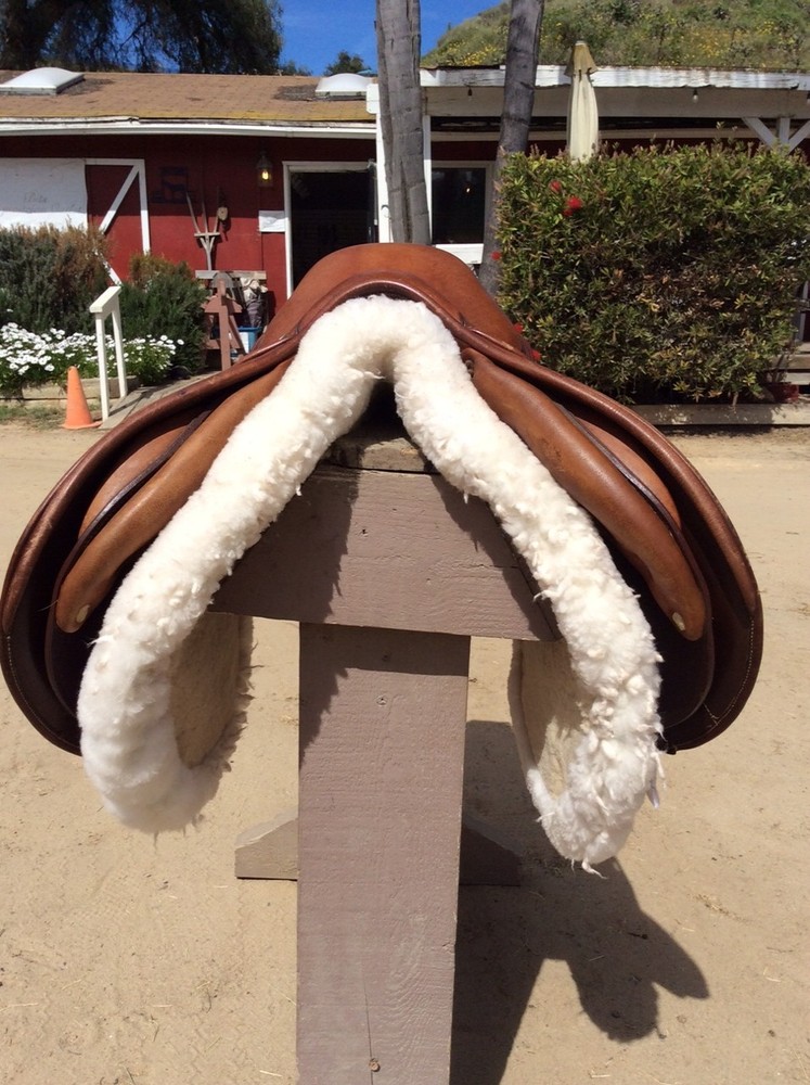 Antares Jumping Saddle, 16.5"