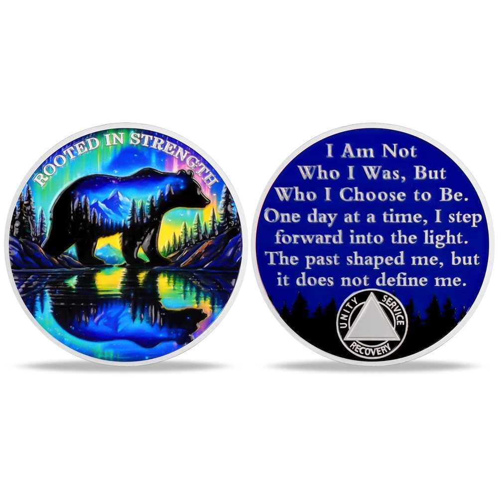3 Year Sobriety Chips Gifts Alcoholics Anonymous AA Medallion Three Years Sober