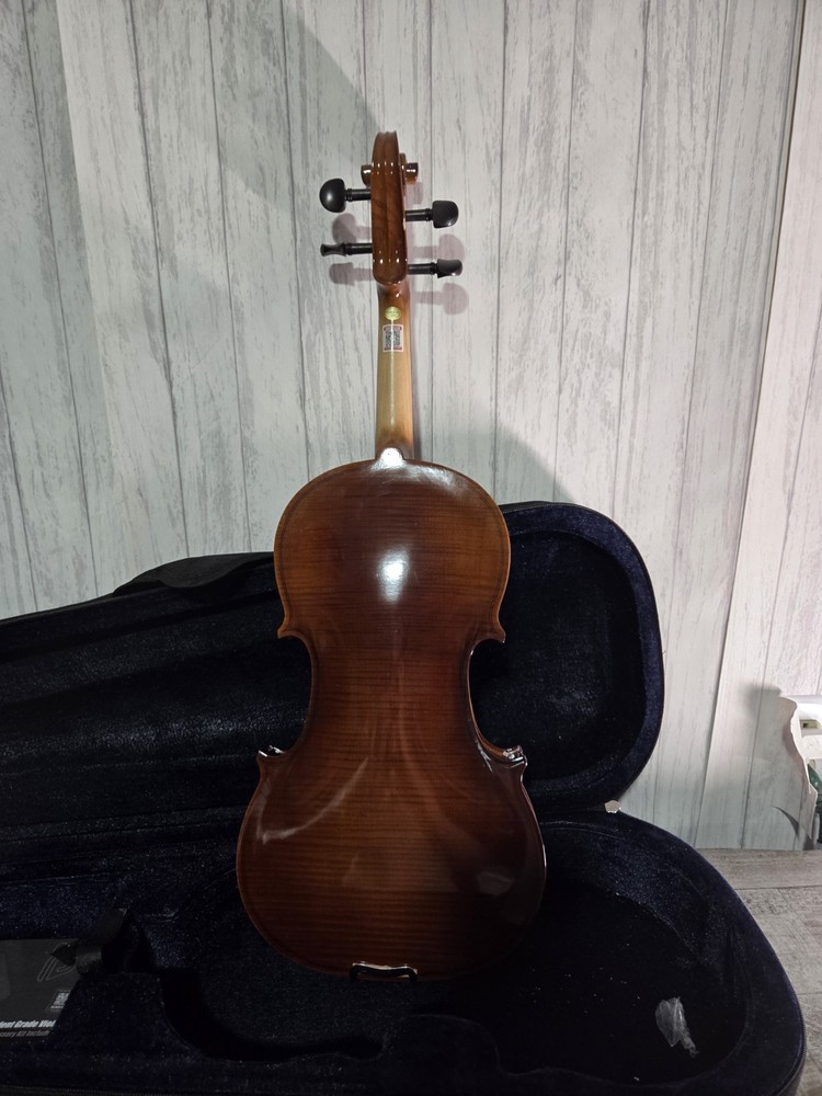 Pyle Solid Wood Violin Stringed Instrument-Student Grade Violin w/ Accessory Kit