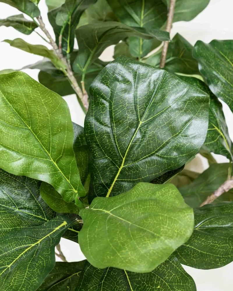 Artificial Fiddle Leaf Fig Tree 6FT - Large Fake Tree with White Planter & Bask