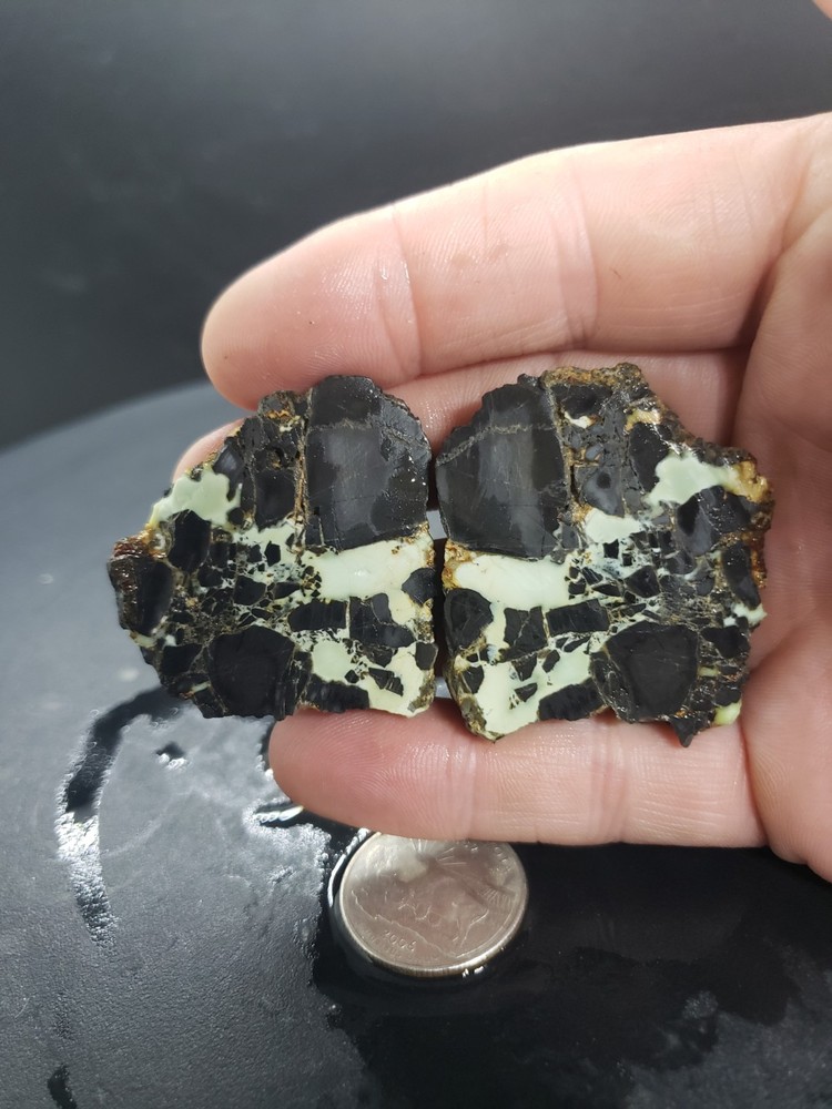 Nevada Gecko Variscite Slabs