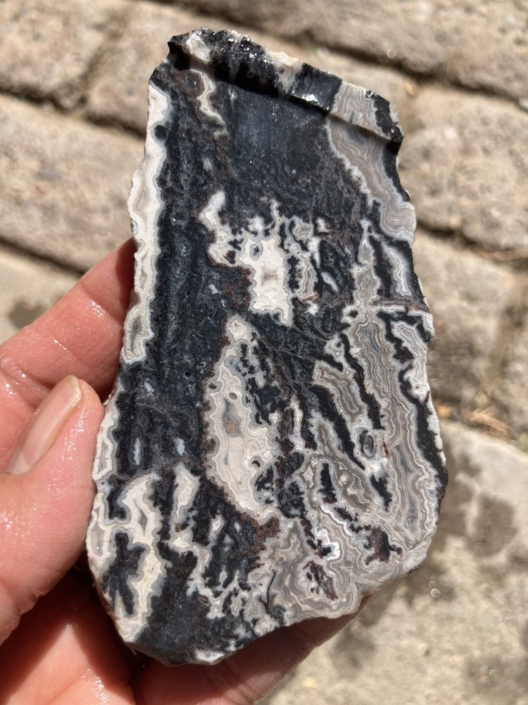Zebra Jasper Slab