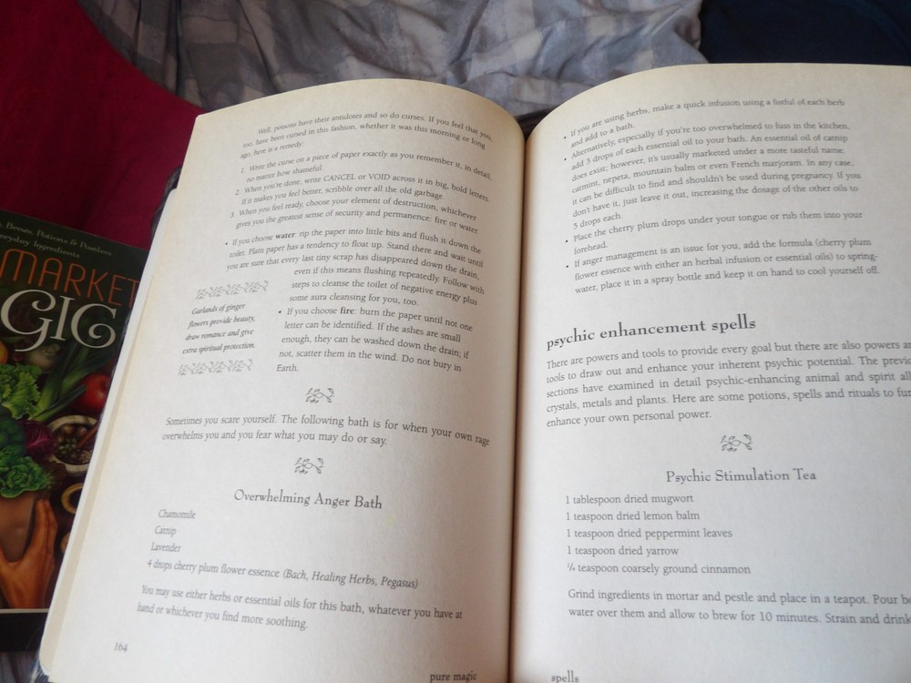 Pure Magic Book : A Complete Course in Spellcasting by Judika Illes