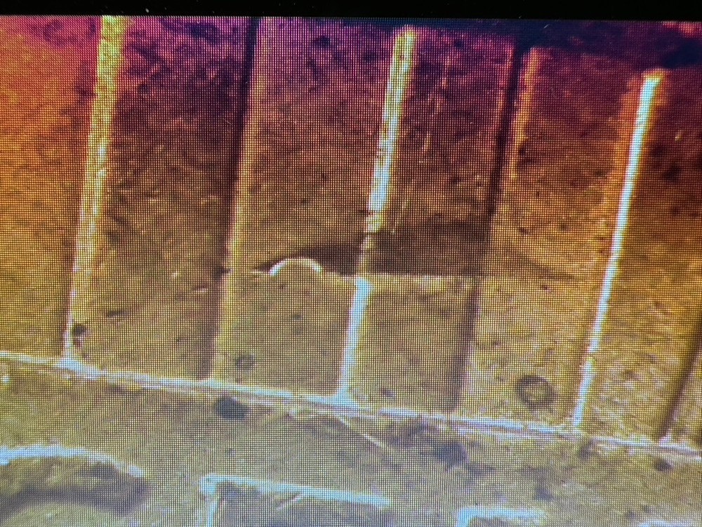 2023-P Lincoln Shield Cent - Die Clash on Reverse