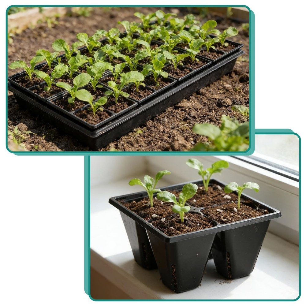 40 Pack Reusable 4-Cell Starter Tray for Seedlings, Deep Large Cell Plant Sta...