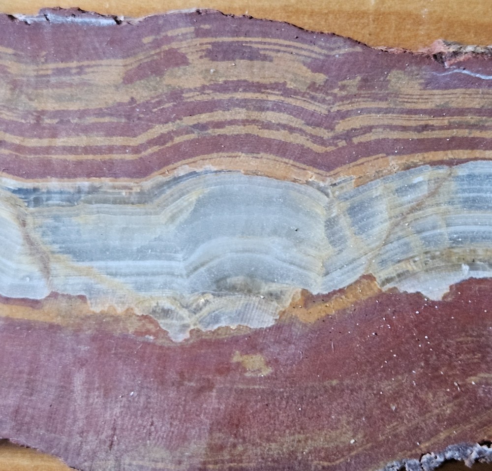 Unknown Jasper Lapidary Slab 65 Grams