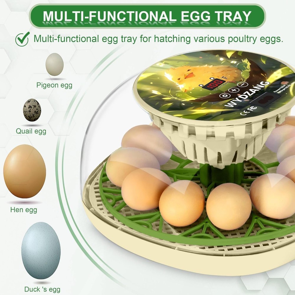 Multi-Function Egg Hatcher with Automatic Turner for Chicken, Duck & Quail Eggs