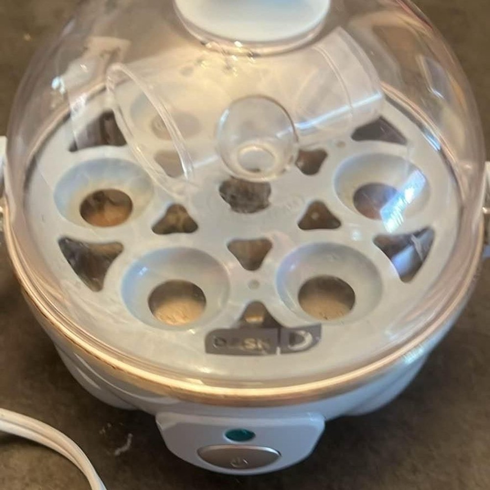 Egg cooker Dash