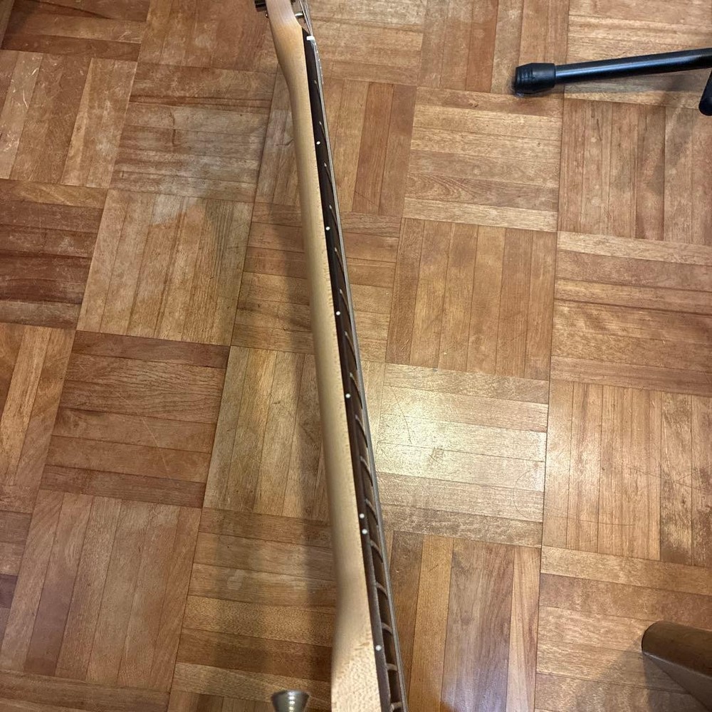 Bacchus Universe Series Telecaster