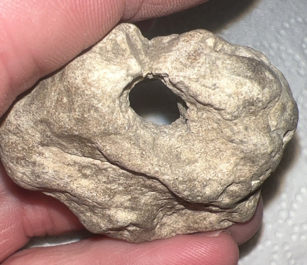 Natural hag stone 1.15oz.