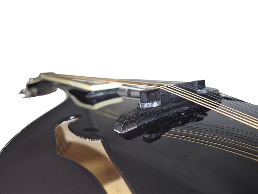 Rogue RM 101A Mandolin