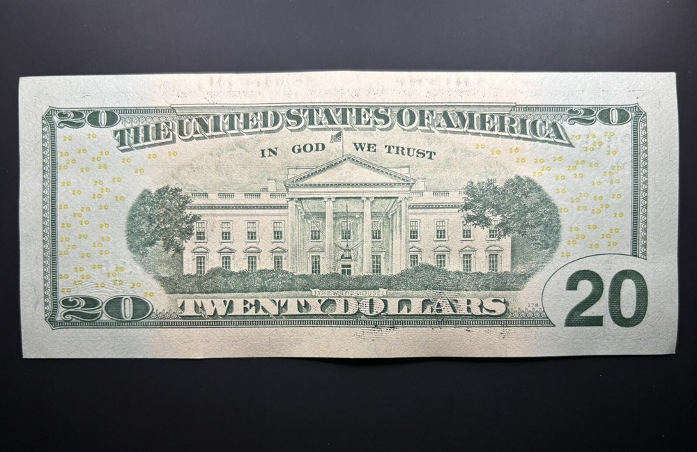 2017-A Series $20 Dollar Bill ERROR: WET INK SMEAR
