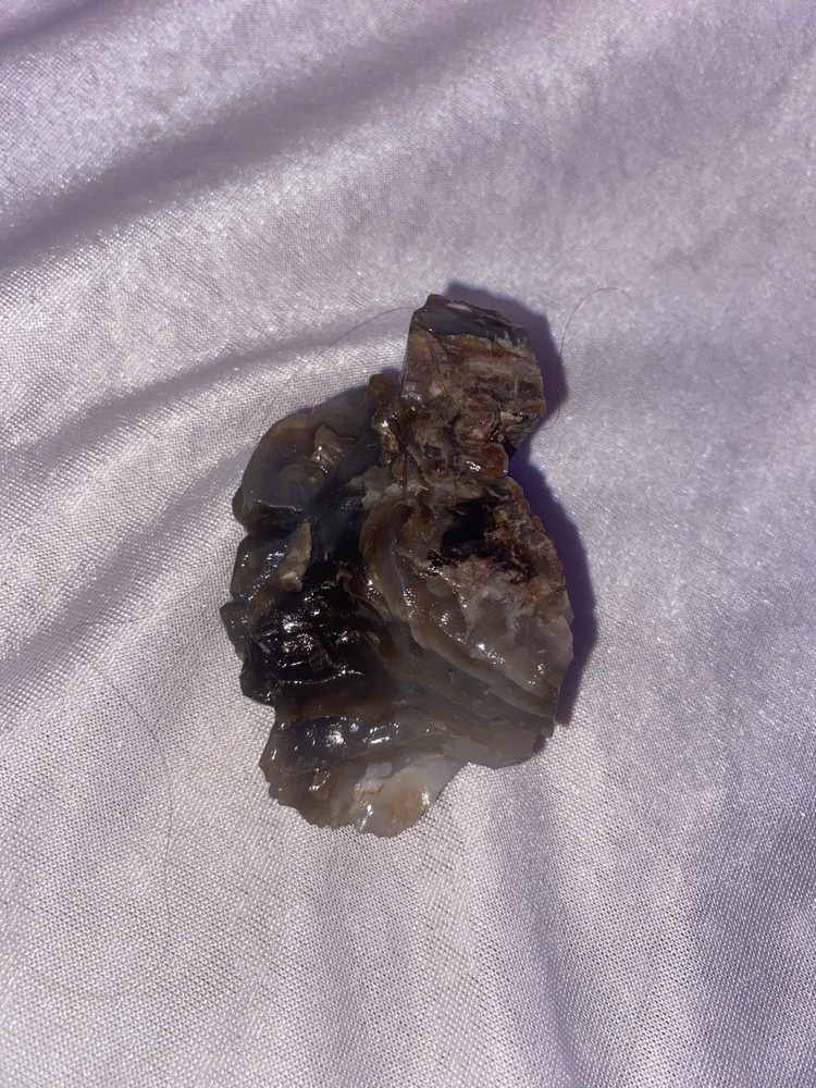 Petrified Wood