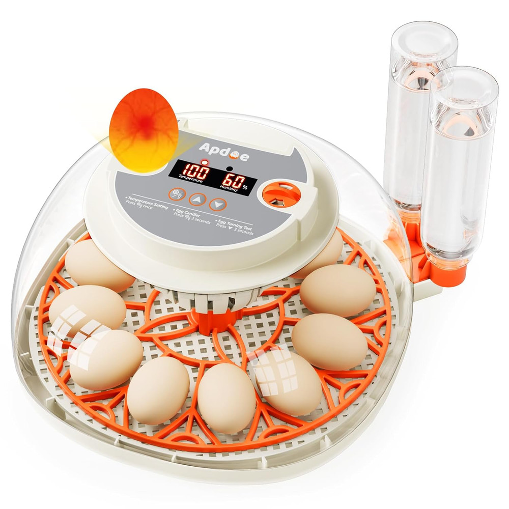 Egg Incubator with Temperature and Humidity Control, Automatic Egg Turning, Egg