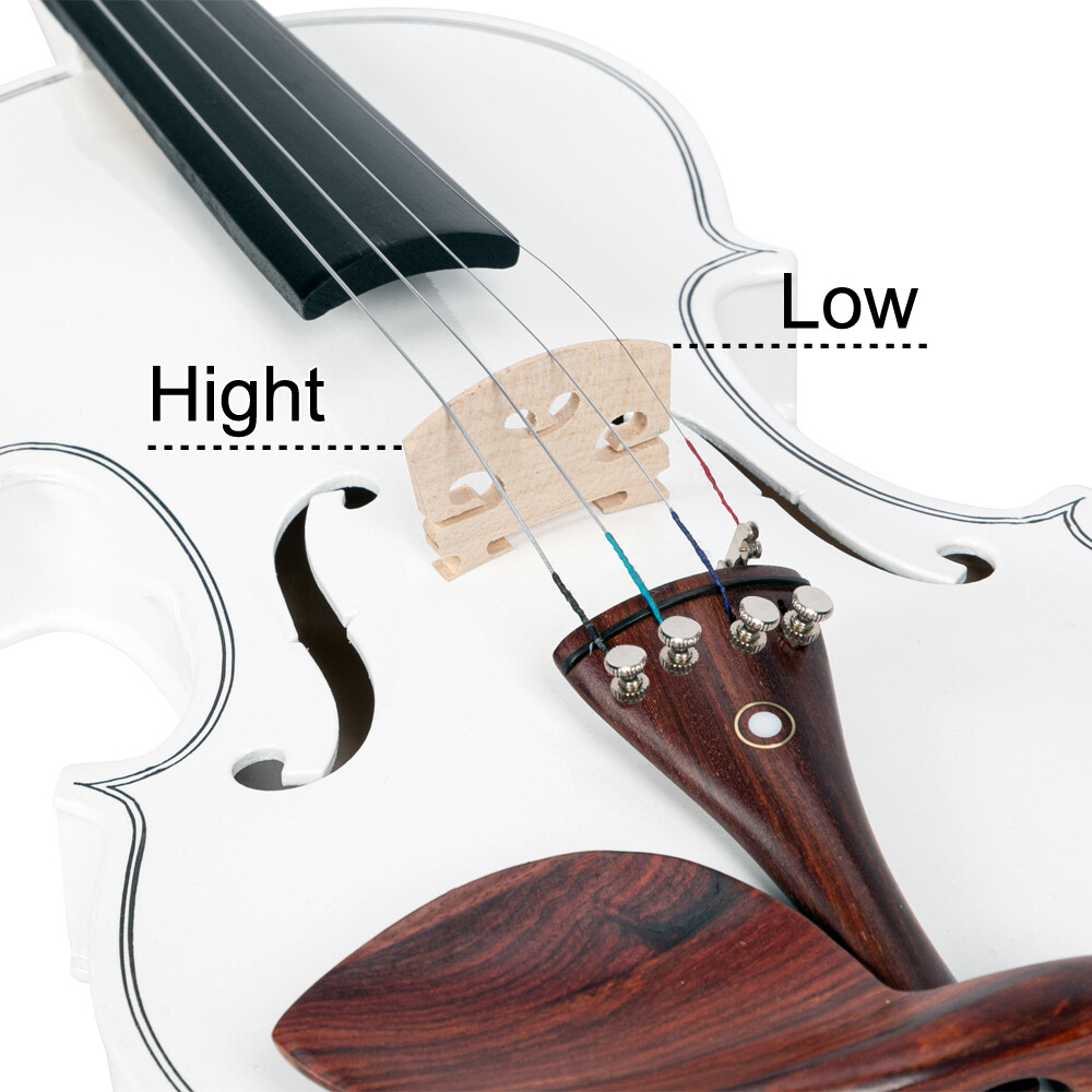 New 4/4 Spruce Panel Acoustic Violin with Case Bow Rosin Strings Matte White
