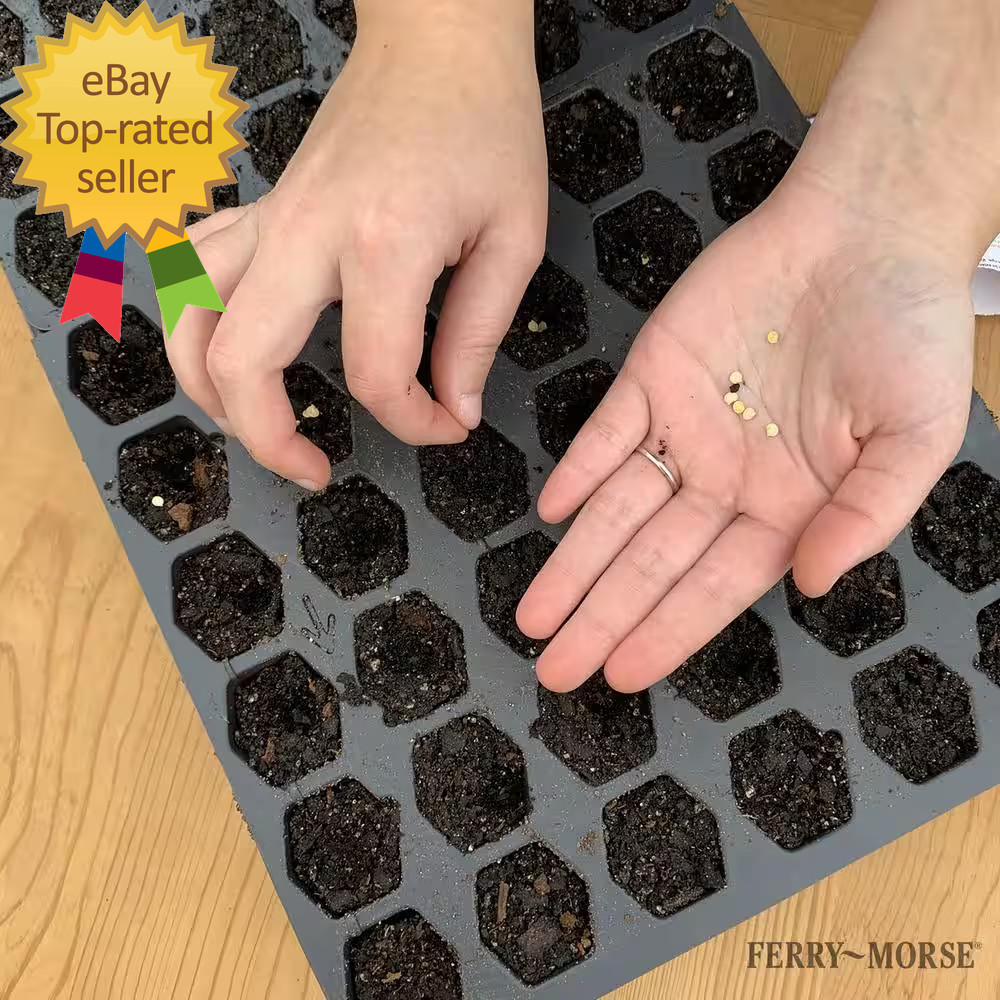 Pro-Hex Seed Starting Tray Kit