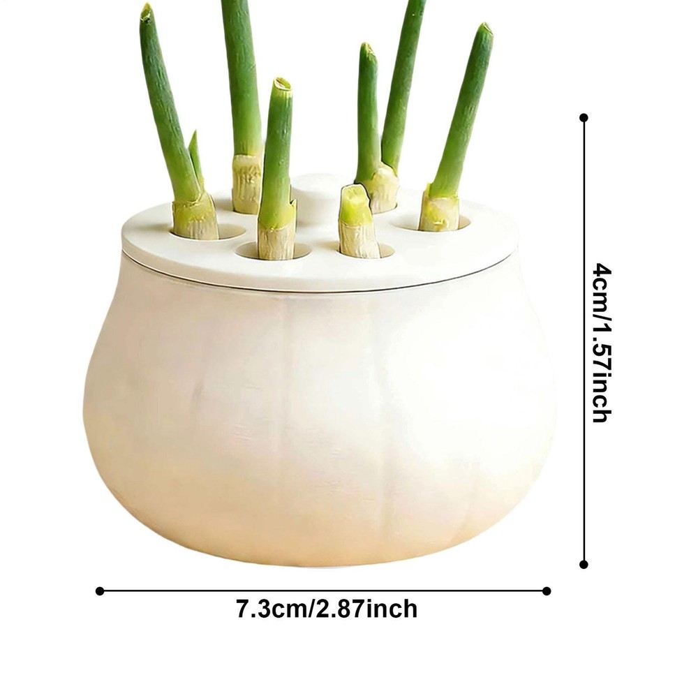 Propagation Jars with Fixed Lid Non Slip Container Sprout Maker