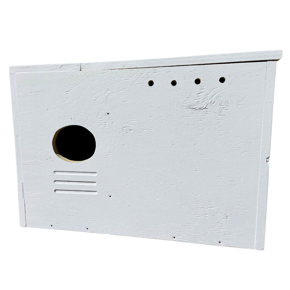 Barn Owl Nesting Box