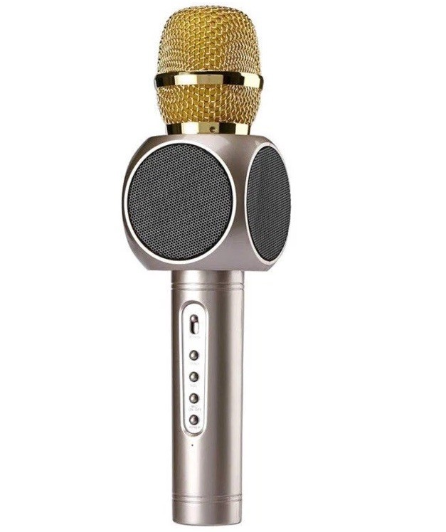 Karaoke Microphone by Innoo Tech Wireless, Speaker